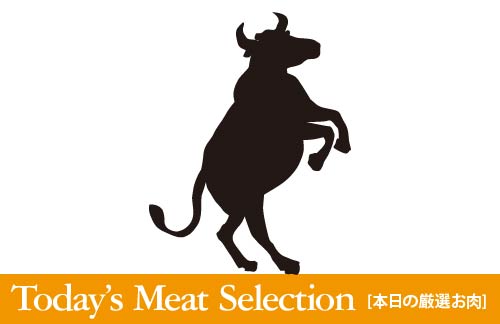 Today’s Meat Selection [本日の厳選お肉]